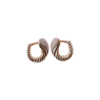 Aretes Némeris