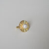 Anillo Ilia